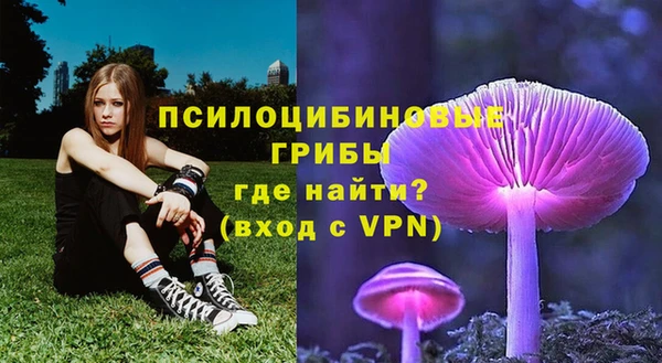 а пвп мука Абаза